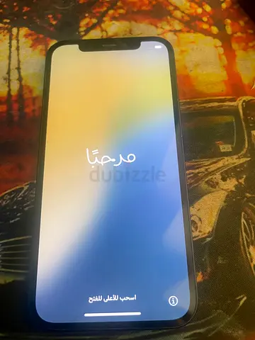 iPhone (Good Condition) - Unlocked, Screen Working