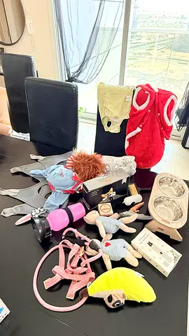 DOG Accessories and Dog Bed