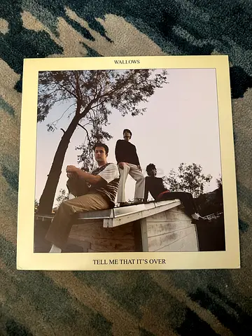 Tell Me That It’s Over - Wallows (Vinyl LP)