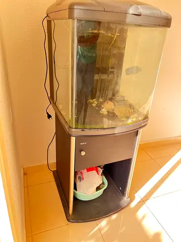 BOYU Aquarium Tank with Stand, LED Light  Filter – Complete Set
