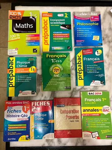 Collection of French Bac  High School Revision Books (Maths, Physique, Philosophie, Histoire)