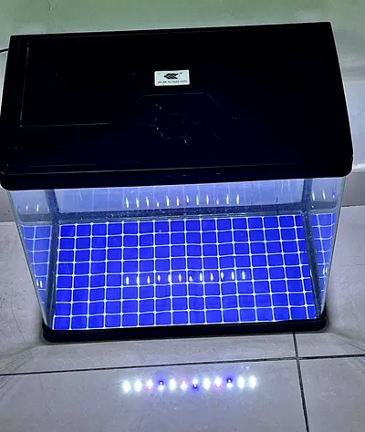 Small LED Desktop Fish Tank Aquarium with Hood - Blue Mat Included