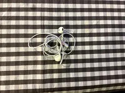 Apple EarPods with USB-C Connector (Used, Good Working Condition)