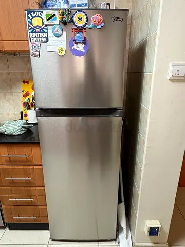 Fridge (Brand: Terim)