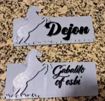Custom Decorative Name Plaques with Horse Silhouette