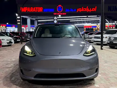 2023 Tesla MODEL Y — фото 2