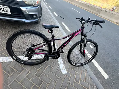 Mountain bike