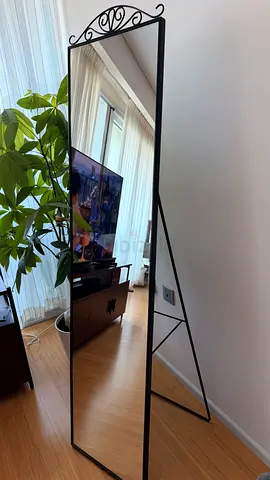Full-length Black Metal Freestanding Decorative Mirror