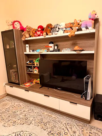 Premium TV unit