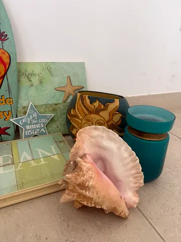 Decorative seashell and candle set (beach-themed ornaments)