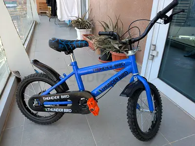 Blue Thunder Bird kids bike for 2 to 5 yrs old