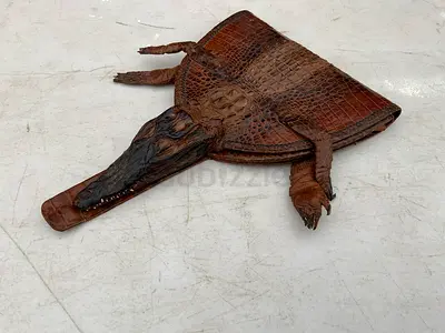 Exotic Vintage Crocodile Skin Bag – Rare Statement Piece