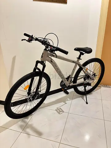 mountain bicycle
