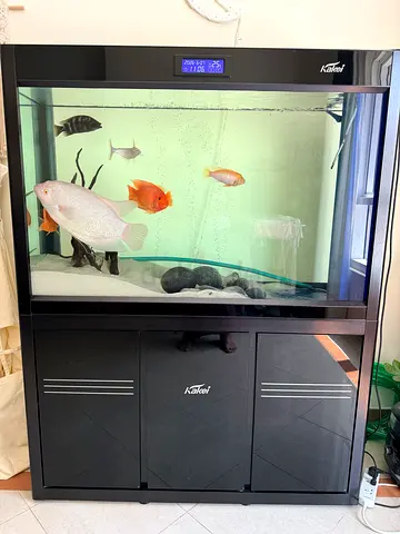 Premium Complete Aquarium Setup for Sale – UAE (KAKEI)