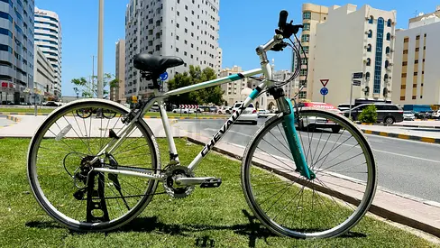 Chevaux Japanese bicycle 26”