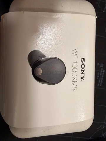 Sony WF-1000XM5 True Wireless Noise Cancelling Earbuds - Black Case