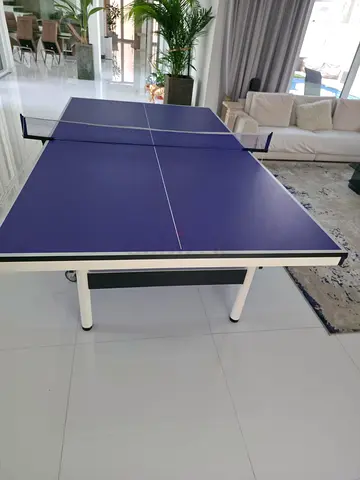 Ping pong table with paddles