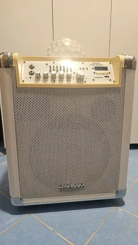 Portable Karaoke/PA Speaker with Built-in Controls
