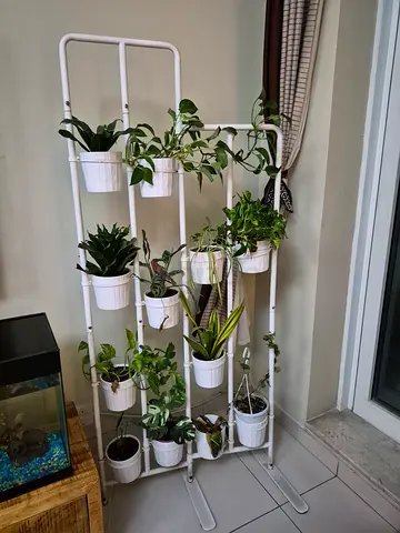 Plant stand with plants