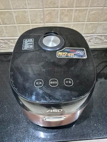 Rice maker