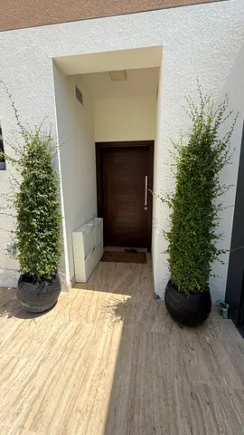 Pair of Tall Outdoor Potted Plants — Mature Decorative Greenery