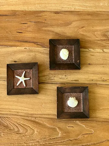 Set of 3 Wooden Wall Decor Frames with Sea Shells