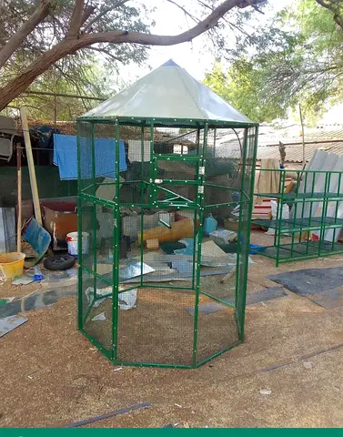 Large Outdoor Hexagonal Bird Aviary e - Green Metal