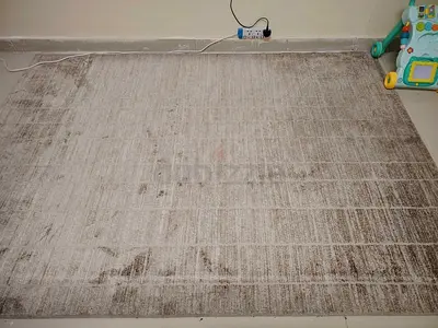 Beige modern area rug - with door mats