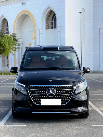 Mercedes-Benz V-Class V 300, миниатюра 2