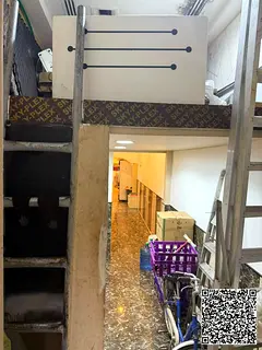 Unique Investment Opportunity: Ready Shop for Rent in Ajman Corniche – 24-Hour License