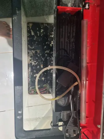 Used Aquarium Tank with External Filter and Accessories