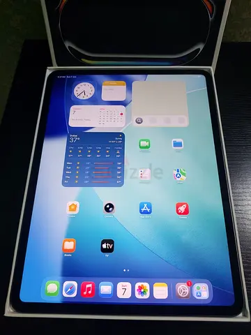 I Pad Pro 13-inch M4 256GB