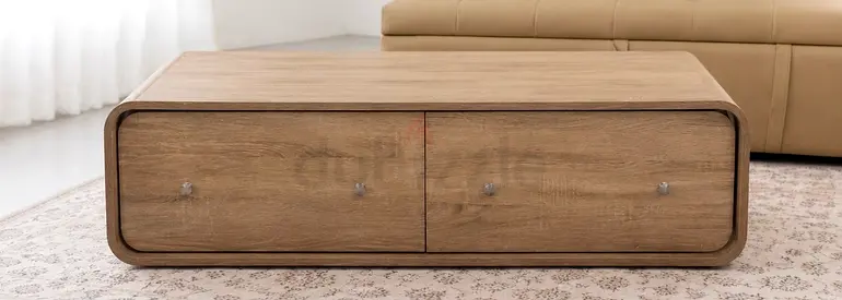 Low Modern Wooden Coffee Table with Built-in Storage
