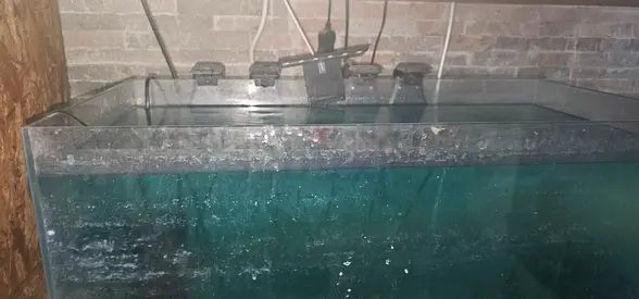 Fish tank