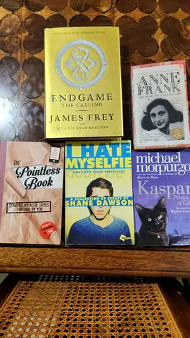 Mixed paperback collection: Endgame, Kaspar, Anne Frank, The Pointless Book, I Hate Myselfie