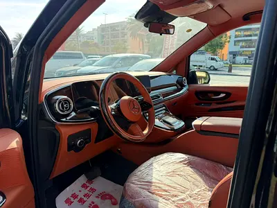 Mercedes-Benz V-Class V 300, миниатюра 16