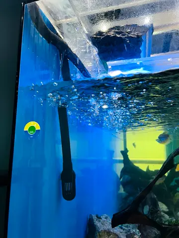 Glass Aquarium Tank with Filter and Fishes