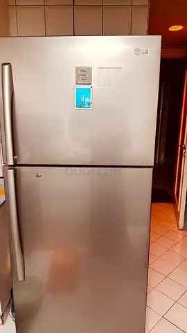 LG Double Door Refrigerator Silver