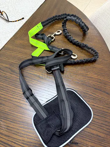 Dog accessories