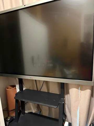 Professional Interactive Display Panel with Mobile Stand