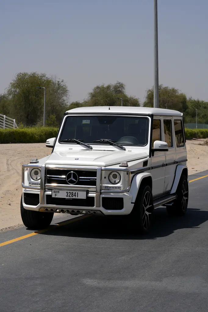 Mercedes-Benz G-Class 2016 — photo 1 of 15