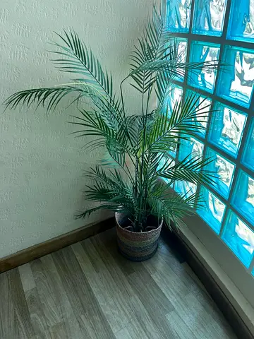 Plastic Areca Palm Plant in Woven Decorative Pot