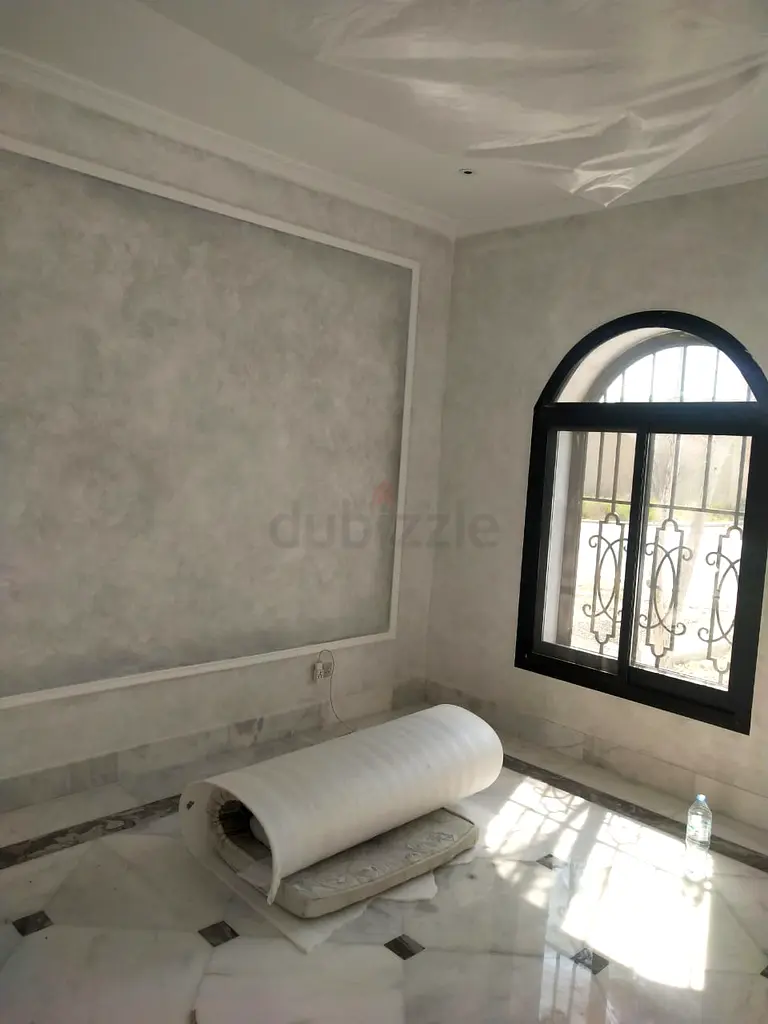 DPV_View_Image_4
