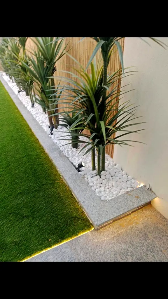 DPV_View_Image_5