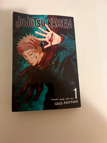 Jujutsu Kaisen manga volume (English translation) — looks gently used