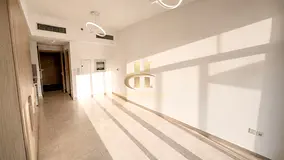 Huge Studio | Community View | Next To Park