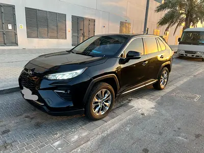 Toyota Wildlander Luxury Plus 2022 Chinese Specs