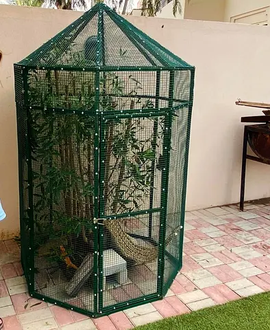 Large Outdoor Hexagonal Bird Aviary / Cage - Green