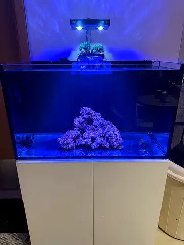 RedSea Marine Saltwater Aquarium Complete Setup