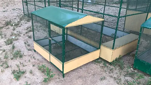 Outdoor metal bird aviary cage with roof -